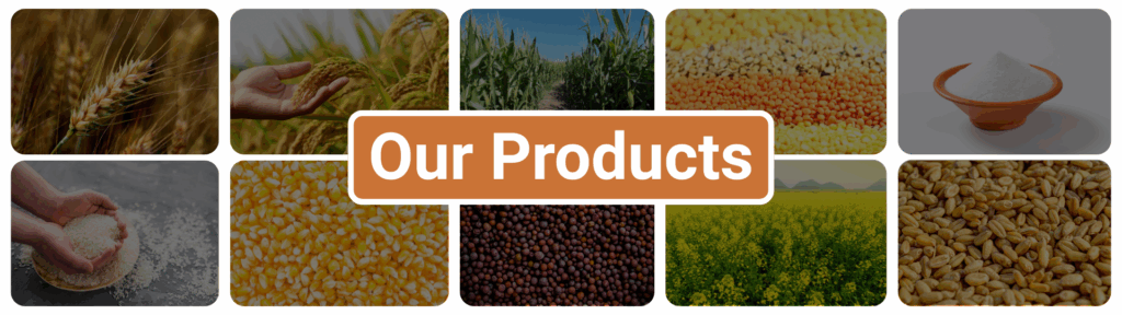 {"type":"elementor","siteurl":"https://grainsetu.co.in/wp-json/","elements":[{"id":"63a752c","elType":"container","isInner":false,"isLocked":false,"settings":{"flex_direction":"column","boxed_width":{"unit":"%","size":100,"sizes":[]},"boxed_width_tablet":{"unit":"%","size":"","sizes":[]},"boxed_width_mobile":{"unit":"%","size":"","sizes":[]},"min_height":{"unit":"px","size":300,"sizes":[]},"background_background":"classic","background_image":{"url":"","id":"","size":"","alt":"our product banner","source":"library"},"background_position":"center center","background_repeat":"no-repeat","background_size":"cover","container_type":"flex","content_width":"boxed","width":{"unit":"%","size":"","sizes":[]},"width_tablet":{"unit":"px","size":"","sizes":[]},"width_mobile":{"unit":"px","size":"","sizes":[]},"min_height_tablet":{"unit":"px","size":"","sizes":[]},"min_height_mobile":{"unit":"px","size":"","sizes":[]},"flex_direction_tablet":"","flex_direction_mobile":"","flex__is_row":"row","flex__is_column":"column","flex_justify_content":"","flex_justify_content_tablet":"","flex_justify_content_mobile":"","flex_align_items":"","flex_align_items_tablet":"","flex_align_items_mobile":"","flex_gap":{"column":"","row":"","isLinked":true,"unit":"px"},"flex_gap_tablet":{"column":"","row":"","isLinked":true,"unit":"px"},"flex_gap_mobile":{"column":"","row":"","isLinked":true,"unit":"px"},"flex_wrap":"","flex_wrap_tablet":"","flex_wrap_mobile":"","flex_align_content":"","flex_align_content_tablet":"","flex_align_content_mobile":"","grid_outline":"yes","grid_columns_grid":{"unit":"fr","size":3,"sizes":[]},"grid_columns_grid_tablet":{"unit":"fr","size":"","sizes":[]},"grid_columns_grid_mobile":{"unit":"fr","size":1,"sizes":[]},"grid_rows_grid":{"unit":"fr","size":2,"sizes":[]},"grid_rows_grid_tablet":{"unit":"fr","size":"","sizes":[]},"grid_rows_grid_mobile":{"unit":"fr","size":"","sizes":[]},"grid_gaps":{"column":"","row":"","isLinked":true,"unit":"px"},"grid_gaps_tablet":{"column":"","row":"","isLinked":true,"unit":"px"},"grid_gaps_mobile":{"column":"","row":"","isLinked":true,"unit":"px"},"grid_auto_flow":"row","grid_auto_flow_tablet":"row","grid_auto_flow_mobile":"row","grid_justify_items":"","grid_justify_items_tablet":"","grid_justify_items_mobile":"","grid_align_items":"","grid_align_items_tablet":"","grid_align_items_mobile":"","grid_justify_content":"","grid_justify_content_tablet":"","grid_justify_content_mobile":"","grid_align_content":"","grid_align_content_tablet":"","grid_align_content_mobile":"","grid__is_row":"row","grid__is_column":"column","overflow":"","html_tag":"","link":{"url":"","is_external":"","nofollow":"","custom_attributes":""},"background_color":"","background_color_stop":{"unit":"%","size":0,"sizes":[]},"background_color_stop_tablet":{"unit":"%"},"background_color_stop_mobile":{"unit":"%"},"background_color_b":"#f2295b","background_color_b_stop":{"unit":"%","size":100,"sizes":[]},"background_color_b_stop_tablet":{"unit":"%"},"background_color_b_stop_mobile":{"unit":"%"},"background_gradient_type":"linear","background_gradient_angle":{"unit":"deg","size":180,"sizes":[]},"background_gradient_angle_tablet":{"unit":"deg"},"background_gradient_angle_mobile":{"unit":"deg"},"background_gradient_position":"center center","background_gradient_position_tablet":"","background_gradient_position_mobile":"","background_image_tablet":{"url":"","id":"","size":""},"background_image_mobile":{"url":"","id":"","size":""},"background_position_tablet":"","background_position_mobile":"","background_xpos":{"unit":"px","size":0,"sizes":[]},"background_xpos_tablet":{"unit":"px","size":0,"sizes":[]},"background_xpos_mobile":{"unit":"px","size":0,"sizes":[]},"background_ypos":{"unit":"px","size":0,"sizes":[]},"background_ypos_tablet":{"unit":"px","size":0,"sizes":[]},"background_ypos_mobile":{"unit":"px","size":0,"sizes":[]},"background_attachment":"","background_repeat_tablet":"","background_repeat_mobile":"","background_size_tablet":"","background_size_mobile":"","background_bg_width":{"unit":"%","size":100,"sizes":[]},"background_bg_width_tablet":{"unit":"px","size":"","sizes":[]},"background_bg_width_mobile":{"unit":"px","size":"","sizes":[]},"background_video_link":"","background_video_start":"","background_video_end":"","background_play_once":"","background_play_on_mobile":"","background_privacy_mode":"","background_video_fallback":{"url":"","id":"","size":""},"background_slideshow_gallery":[],"background_slideshow_loop":"yes","background_slideshow_slide_duration":5000,"background_slideshow_slide_transition":"fade","background_slideshow_transition_duration":500,"background_slideshow_background_size":"","background_slideshow_background_size_tablet":"","background_slideshow_background_size_mobile":"","background_slideshow_background_position":"","background_slideshow_background_position_tablet":"","background_slideshow_background_position_mobile":"","background_slideshow_lazyload":"","background_slideshow_ken_burns":"","background_slideshow_ken_burns_zoom_direction":"in","handle_slideshow_asset_loading":"","background_hover_background":"","background_hover_color":"","background_hover_color_stop":{"unit":"%","size":0,"sizes":[]},"background_hover_color_stop_tablet":{"unit":"%"},"background_hover_color_stop_mobile":{"unit":"%"},"background_hover_color_b":"#f2295b","background_hover_color_b_stop":{"unit":"%","size":100,"sizes":[]},"background_hover_color_b_stop_tablet":{"unit":"%"},"background_hover_color_b_stop_mobile":{"unit":"%"},"background_hover_gradient_type":"linear","background_hover_gradient_angle":{"unit":"deg","size":180,"sizes":[]},"background_hover_gradient_angle_tablet":{"unit":"deg"},"background_hover_gradient_angle_mobile":{"unit":"deg"},"background_hover_gradient_position":"center center","background_hover_gradient_position_tablet":"","background_hover_gradient_position_mobile":"","background_hover_image":{"url":"","id":"","size":""},"background_hover_image_tablet":{"url":"","id":"","size":""},"background_hover_image_mobile":{"url":"","id":"","size":""},"background_hover_position":"","background_hover_position_tablet":"","background_hover_position_mobile":"","background_hover_xpos":{"unit":"px","size":0,"sizes":[]},"background_hover_xpos_tablet":{"unit":"px","size":0,"sizes":[]},"background_hover_xpos_mobile":{"unit":"px","size":0,"sizes":[]},"background_hover_ypos":{"unit":"px","size":0,"sizes":[]},"background_hover_ypos_tablet":{"unit":"px","size":0,"sizes":[]},"background_hover_ypos_mobile":{"unit":"px","size":0,"sizes":[]},"background_hover_attachment":"","background_hover_repeat":"","background_hover_repeat_tablet":"","background_hover_repeat_mobile":"","background_hover_size":"","background_hover_size_tablet":"","background_hover_size_mobile":"","background_hover_bg_width":{"unit":"%","size":100,"sizes":[]},"background_hover_bg_width_tablet":{"unit":"px","size":"","sizes":[]},"background_hover_bg_width_mobile":{"unit":"px","size":"","sizes":[]},"background_hover_video_link":"","background_hover_video_start":"","background_hover_video_end":"","background_hover_play_once":"","background_hover_play_on_mobile":"","background_hover_privacy_mode":"","background_hover_video_fallback":{"url":"","id":"","size":""},"background_hover_slideshow_gallery":[],"background_hover_slideshow_loop":"yes","background_hover_slideshow_slide_duration":5000,"background_hover_slideshow_slide_transition":"fade","background_hover_slideshow_transition_duration":500,"background_hover_slideshow_background_size":"","background_hover_slideshow_background_size_tablet":"","background_hover_slideshow_background_size_mobile":"","background_hover_slideshow_background_position":"","background_hover_slideshow_background_position_tablet":"","background_hover_slideshow_background_position_mobile":"","background_hover_slideshow_lazyload":"","background_hover_slideshow_ken_burns":"","background_hover_slideshow_ken_burns_zoom_direction":"in","background_hover_transition":{"unit":"px","size":0.3,"sizes":[]},"background_overlay_background":"","background_overlay_color":"","background_overlay_color_stop":{"unit":"%","size":0,"sizes":[]},"background_overlay_color_stop_tablet":{"unit":"%"},"background_overlay_color_stop_mobile":{"unit":"%"},"background_overlay_color_b":"#f2295b","background_overlay_color_b_stop":{"unit":"%","size":100,"sizes":[]},"background_overlay_color_b_stop_tablet":{"unit":"%"},"background_overlay_color_b_stop_mobile":{"unit":"%"},"background_overlay_gradient_type":"linear","background_overlay_gradient_angle":{"unit":"deg","size":180,"sizes":[]},"background_overlay_gradient_angle_tablet":{"unit":"deg"},"background_overlay_gradient_angle_mobile":{"unit":"deg"},"background_overlay_gradient_position":"center center","background_overlay_gradient_position_tablet":"","background_overlay_gradient_position_mobile":"","background_overlay_image":{"url":"","id":"","size":""},"background_overlay_image_tablet":{"url":"","id":"","size":""},"background_overlay_image_mobile":{"url":"","id":"","size":""},"background_overlay_position":"","background_overlay_position_tablet":"","background_overlay_position_mobile":"","background_overlay_xpos":{"unit":"px","size":0,"sizes":[]},"background_overlay_xpos_tablet":{"unit":"px","size":0,"sizes":[]},"background_overlay_xpos_mobile":{"unit":"px","size":0,"sizes":[]},"background_overlay_ypos":{"unit":"px","size":0,"sizes":[]},"background_overlay_ypos_tablet":{"unit":"px","size":0,"sizes":[]},"background_overlay_ypos_mobile":{"unit":"px","size":0,"sizes":[]},"background_overlay_attachment":"","background_overlay_repeat":"","background_overlay_repeat_tablet":"","background_overlay_repeat_mobile":"","background_overlay_size":"","background_overlay_size_tablet":"","background_overlay_size_mobile":"","background_overlay_bg_width":{"unit":"%","size":100,"sizes":[]},"background_overlay_bg_width_tablet":{"unit":"px","size":"","sizes":[]},"background_overlay_bg_width_mobile":{"unit":"px","size":"","sizes":[]},"background_overlay_video_link":"","background_overlay_video_start":"","background_overlay_video_end":"","background_overlay_play_once":"","background_overlay_play_on_mobile":"","background_overlay_privacy_mode":"","background_overlay_video_fallback":{"url":"","id":"","size":""},"background_overlay_slideshow_gallery":[],"background_overlay_slideshow_loop":"yes","background_overlay_slideshow_slide_duration":5000,"background_overlay_slideshow_slide_transition":"fade","background_overlay_slideshow_transition_duration":500,"background_overlay_slideshow_background_size":"","background_overlay_slideshow_background_size_tablet":"","background_overlay_slideshow_background_size_mobile":"","background_overlay_slideshow_background_position":"","background_overlay_slideshow_background_position_tablet":"","background_overlay_slideshow_background_position_mobile":"","background_overlay_slideshow_lazyload":"","background_overlay_slideshow_ken_burns":"","background_overlay_slideshow_ken_burns_zoom_direction":"in","background_overlay_opacity":{"unit":"px","size":0.5,"sizes":[]},"background_overlay_opacity_tablet":{"unit":"px","size":"","sizes":[]},"background_overlay_opacity_mobile":{"unit":"px","size":"","sizes":[]},"css_filters_css_filter":"","css_filters_blur":{"unit":"px","size":0,"sizes":[]},"css_filters_brightness":{"unit":"px","size":100,"sizes":[]},"css_filters_contrast":{"unit":"px","size":100,"sizes":[]},"css_filters_saturate":{"unit":"px","size":100,"sizes":[]},"css_filters_hue":{"unit":"px","size":0,"sizes":[]},"overlay_blend_mode":"","background_overlay_hover_background":"","background_overlay_hover_color":"","background_overlay_hover_color_stop":{"unit":"%","size":0,"sizes":[]},"background_overlay_hover_color_stop_tablet":{"unit":"%"},"background_overlay_hover_color_stop_mobile":{"unit":"%"},"background_overlay_hover_color_b":"#f2295b","background_overlay_hover_color_b_stop":{"unit":"%","size":100,"sizes":[]},"background_overlay_hover_color_b_stop_tablet":{"unit":"%"},"background_overlay_hover_color_b_stop_mobile":{"unit":"%"},"background_overlay_hover_gradient_type":"linear","background_overlay_hover_gradient_angle":{"unit":"deg","size":180,"sizes":[]},"background_overlay_hover_gradient_angle_tablet":{"unit":"deg"},"background_overlay_hover_gradient_angle_mobile":{"unit":"deg"},"background_overlay_hover_gradient_position":"center center","background_overlay_hover_gradient_position_tablet":"","background_overlay_hover_gradient_position_mobile":"","background_overlay_hover_image":{"url":"","id":"","size":""},"background_overlay_hover_image_tablet":{"url":"","id":"","size":""},"background_overlay_hover_image_mobile":{"url":"","id":"","size":""},"background_overlay_hover_position":"","background_overlay_hover_position_tablet":"","background_overlay_hover_position_mobile":"","background_overlay_hover_xpos":{"unit":"px","size":0,"sizes":[]},"background_overlay_hover_xpos_tablet":{"unit":"px","size":0,"sizes":[]},"background_overlay_hover_xpos_mobile":{"unit":"px","size":0,"sizes":[]},"background_overlay_hover_ypos":{"unit":"px","size":0,"sizes":[]},"background_overlay_hover_ypos_tablet":{"unit":"px","size":0,"sizes":[]},"background_overlay_hover_ypos_mobile":{"unit":"px","size":0,"sizes":[]},"background_overlay_hover_attachment":"","background_overlay_hover_repeat":"","background_overlay_hover_repeat_tablet":"","background_overlay_hover_repeat_mobile":"","background_overlay_hover_size":"","background_overlay_hover_size_tablet":"","background_overlay_hover_size_mobile":"","background_overlay_hover_bg_width":{"unit":"%","size":100,"sizes":[]},"background_overlay_hover_bg_width_tablet":{"unit":"px","size":"","sizes":[]},"background_overlay_hover_bg_width_mobile":{"unit":"px","size":"","sizes":[]},"background_overlay_hover_video_link":"","background_overlay_hover_video_start":"","background_overlay_hover_video_end":"","background_overlay_hover_play_once":"","background_overlay_hover_play_on_mobile":"","background_overlay_hover_privacy_mode":"","background_overlay_hover_video_fallback":{"url":"","id":"","size":""},"background_overlay_hover_slideshow_gallery":[],"background_overlay_hover_slideshow_loop":"yes","background_overlay_hover_slideshow_slide_duration":5000,"background_overlay_hover_slideshow_slide_transition":"fade","background_overlay_hover_slideshow_transition_duration":500,"background_overlay_hover_slideshow_background_size":"","background_overlay_hover_slideshow_background_size_tablet":"","background_overlay_hover_slideshow_background_size_mobile":"","background_overlay_hover_slideshow_background_position":"","background_overlay_hover_slideshow_background_position_tablet":"","background_overlay_hover_slideshow_background_position_mobile":"","background_overlay_hover_slideshow_lazyload":"","background_overlay_hover_slideshow_ken_burns":"","background_overlay_hover_slideshow_ken_burns_zoom_direction":"in","background_overlay_hover_opacity":{"unit":"px","size":0.5,"sizes":[]},"background_overlay_hover_opacity_tablet":{"unit":"px","size":"","sizes":[]},"background_overlay_hover_opacity_mobile":{"unit":"px","size":"","sizes":[]},"background_overlay_hover_transition":{"unit":"px","size":"","sizes":[]},"css_filters_hover_css_filter":"","css_filters_hover_blur":{"unit":"px","size":0,"sizes":[]},"css_filters_hover_brightness":{"unit":"px","size":100,"sizes":[]},"css_filters_hover_contrast":{"unit":"px","size":100,"sizes":[]},"css_filters_hover_saturate":{"unit":"px","size":100,"sizes":[]},"css_filters_hover_hue":{"unit":"px","size":0,"sizes":[]},"border_border":"","border_width":{"unit":"px","top":"","right":"","bottom":"","left":"","isLinked":true},"border_width_tablet":{"unit":"px","top":"","right":"","bottom":"","left":"","isLinked":true},"border_width_mobile":{"unit":"px","top":"","right":"","bottom":"","left":"","isLinked":true},"border_color":"","border_radius":{"unit":"px","top":"","right":"","bottom":"","left":"","isLinked":true},"border_radius_tablet":{"unit":"px","top":"","right":"","bottom":"","left":"","isLinked":true},"border_radius_mobile":{"unit":"px","top":"","right":"","bottom":"","left":"","isLinked":true},"box_shadow_box_shadow_type":"","box_shadow_box_shadow":{"horizontal":0,"vertical":0,"blur":10,"spread":0,"color":"rgba(0,0,0,0.5)"},"box_shadow_box_shadow_position":" ","border_hover_border":"","border_hover_width":{"unit":"px","top":"","right":"","bottom":"","left":"","isLinked":true},"border_hover_width_tablet":{"unit":"px","top":"","right":"","bottom":"","left":"","isLinked":true},"border_hover_width_mobile":{"unit":"px","top":"","right":"","bottom":"","left":"","isLinked":true},"border_hover_color":"","border_radius_hover":{"unit":"px","top":"","right":"","bottom":"","left":"","isLinked":true},"border_radius_hover_tablet":{"unit":"px","top":"","right":"","bottom":"","left":"","isLinked":true},"border_radius_hover_mobile":{"unit":"px","top":"","right":"","bottom":"","left":"","isLinked":true},"box_shadow_hover_box_shadow_type":"","box_shadow_hover_box_shadow":{"horizontal":0,"vertical":0,"blur":10,"spread":0,"color":"rgba(0,0,0,0.5)"},"box_shadow_hover_box_shadow_position":" ","border_hover_transition":{"unit":"px","size":0.3,"sizes":[]},"shape_divider_top":"","shape_divider_top_color":"","shape_divider_top_width":{"unit":"%","size":"","sizes":[]},"shape_divider_top_width_tablet":{"unit":"%","size":"","sizes":[]},"shape_divider_top_width_mobile":{"unit":"%","size":"","sizes":[]},"shape_divider_top_height":{"unit":"px","size":"","sizes":[]},"shape_divider_top_height_tablet":{"unit":"px","size":"","sizes":[]},"shape_divider_top_height_mobile":{"unit":"px","size":"","sizes":[]},"shape_divider_top_flip":"","shape_divider_top_negative":"","shape_divider_top_above_content":"","shape_divider_bottom":"","shape_divider_bottom_color":"","shape_divider_bottom_width":{"unit":"%","size":"","sizes":[]},"shape_divider_bottom_width_tablet":{"unit":"%","size":"","sizes":[]},"shape_divider_bottom_width_mobile":{"unit":"%","size":"","sizes":[]},"shape_divider_bottom_height":{"unit":"px","size":"","sizes":[]},"shape_divider_bottom_height_tablet":{"unit":"px","size":"","sizes":[]},"shape_divider_bottom_height_mobile":{"unit":"px","size":"","sizes":[]},"shape_divider_bottom_flip":"","shape_divider_bottom_negative":"","shape_divider_bottom_above_content":"","margin":{"unit":"px","top":"","right":"","bottom":"","left":"","isLinked":true},"margin_tablet":{"unit":"px","top":"","right":"","bottom":"","left":"","isLinked":true},"margin_mobile":{"unit":"px","top":"","right":"","bottom":"","left":"","isLinked":true},"padding":{"unit":"px","top":"","right":"","bottom":"","left":"","isLinked":true},"padding_tablet":{"unit":"px","top":"","right":"","bottom":"","left":"","isLinked":true},"padding_mobile":{"unit":"px","top":"","right":"","bottom":"","left":"","isLinked":true},"grid_column":"","grid_column_tablet":"","grid_column_mobile":"","grid_column_custom":"","grid_column_custom_tablet":"","grid_column_custom_mobile":"","grid_row":"","grid_row_tablet":"","grid_row_mobile":"","grid_row_custom":"","grid_row_custom_tablet":"","grid_row_custom_mobile":"","_flex_align_self":"","_flex_align_self_tablet":"","_flex_align_self_mobile":"","_flex_order":"","_flex_order_tablet":"","_flex_order_mobile":"","_flex_order_custom":"","_flex_order_custom_tablet":"","_flex_order_custom_mobile":"","_flex_size":"","_flex_size_tablet":"","_flex_size_mobile":"","_flex_grow":1,"_flex_grow_tablet":"","_flex_grow_mobile":"","_flex_shrink":1,"_flex_shrink_tablet":"","_flex_shrink_mobile":"","position":"","_offset_orientation_h":"start","_offset_x":{"unit":"px","size":0,"sizes":[]},"_offset_x_tablet":{"unit":"px","size":"","sizes":[]},"_offset_x_mobile":{"unit":"px","size":"","sizes":[]},"_offset_x_end":{"unit":"px","size":0,"sizes":[]},"_offset_x_end_tablet":{"unit":"px","size":"","sizes":[]},"_offset_x_end_mobile":{"unit":"px","size":"","sizes":[]},"_offset_orientation_v":"start","_offset_y":{"unit":"px","size":0,"sizes":[]},"_offset_y_tablet":{"unit":"px","size":"","sizes":[]},"_offset_y_mobile":{"unit":"px","size":"","sizes":[]},"_offset_y_end":{"unit":"px","size":0,"sizes":[]},"_offset_y_end_tablet":{"unit":"px","size":"","sizes":[]},"_offset_y_end_mobile":{"unit":"px","size":"","sizes":[]},"z_index":"","z_index_tablet":"","z_index_mobile":"","_element_id":"","css_classes":"","animation":"","animation_tablet":"","animation_mobile":"","animation_duration":"","animation_delay":"","_transform_rotate_popover":"","_transform_rotateZ_effect":{"unit":"px","size":"","sizes":[]},"_transform_rotateZ_effect_tablet":{"unit":"deg","size":"","sizes":[]},"_transform_rotateZ_effect_mobile":{"unit":"deg","size":"","sizes":[]},"_transform_rotate_3d":"","_transform_rotateX_effect":{"unit":"px","size":"","sizes":[]},"_transform_rotateX_effect_tablet":{"unit":"deg","size":"","sizes":[]},"_transform_rotateX_effect_mobile":{"unit":"deg","size":"","sizes":[]},"_transform_rotateY_effect":{"unit":"px","size":"","sizes":[]},"_transform_rotateY_effect_tablet":{"unit":"deg","size":"","sizes":[]},"_transform_rotateY_effect_mobile":{"unit":"deg","size":"","sizes":[]},"_transform_perspective_effect":{"unit":"px","size":"","sizes":[]},"_transform_perspective_effect_tablet":{"unit":"px","size":"","sizes":[]},"_transform_perspective_effect_mobile":{"unit":"px","size":"","sizes":[]},"_transform_translate_popover":"","_transform_translateX_effect":{"unit":"px","size":"","sizes":[]},"_transform_translateX_effect_tablet":{"unit":"px","size":"","sizes":[]},"_transform_translateX_effect_mobile":{"unit":"px","size":"","sizes":[]},"_transform_translateY_effect":{"unit":"px","size":"","sizes":[]},"_transform_translateY_effect_tablet":{"unit":"px","size":"","sizes":[]},"_transform_translateY_effect_mobile":{"unit":"px","size":"","sizes":[]},"_transform_scale_popover":"","_transform_keep_proportions":"yes","_transform_scale_effect":{"unit":"px","size":"","sizes":[]},"_transform_scale_effect_tablet":{"unit":"px","size":"","sizes":[]},"_transform_scale_effect_mobile":{"unit":"px","size":"","sizes":[]},"_transform_scaleX_effect":{"unit":"px","size":"","sizes":[]},"_transform_scaleX_effect_tablet":{"unit":"px","size":"","sizes":[]},"_transform_scaleX_effect_mobile":{"unit":"px","size":"","sizes":[]},"_transform_scaleY_effect":{"unit":"px","size":"","sizes":[]},"_transform_scaleY_effect_tablet":{"unit":"px","size":"","sizes":[]},"_transform_scaleY_effect_mobile":{"unit":"px","size":"","sizes":[]},"_transform_skew_popover":"","_transform_skewX_effect":{"unit":"px","size":"","sizes":[]},"_transform_skewX_effect_tablet":{"unit":"deg","size":"","sizes":[]},"_transform_skewX_effect_mobile":{"unit":"deg","size":"","sizes":[]},"_transform_skewY_effect":{"unit":"px","size":"","sizes":[]},"_transform_skewY_effect_tablet":{"unit":"deg","size":"","sizes":[]},"_transform_skewY_effect_mobile":{"unit":"deg","size":"","sizes":[]},"_transform_flipX_effect":"","_transform_flipY_effect":"","_transform_rotate_popover_hover":"","_transform_rotateZ_effect_hover":{"unit":"px","size":"","sizes":[]},"_transform_rotateZ_effect_hover_tablet":{"unit":"deg","size":"","sizes":[]},"_transform_rotateZ_effect_hover_mobile":{"unit":"deg","size":"","sizes":[]},"_transform_rotate_3d_hover":"","_transform_rotateX_effect_hover":{"unit":"px","size":"","sizes":[]},"_transform_rotateX_effect_hover_tablet":{"unit":"deg","size":"","sizes":[]},"_transform_rotateX_effect_hover_mobile":{"unit":"deg","size":"","sizes":[]},"_transform_rotateY_effect_hover":{"unit":"px","size":"","sizes":[]},"_transform_rotateY_effect_hover_tablet":{"unit":"deg","size":"","sizes":[]},"_transform_rotateY_effect_hover_mobile":{"unit":"deg","size":"","sizes":[]},"_transform_perspective_effect_hover":{"unit":"px","size":"","sizes":[]},"_transform_perspective_effect_hover_tablet":{"unit":"px","size":"","sizes":[]},"_transform_perspective_effect_hover_mobile":{"unit":"px","size":"","sizes":[]},"_transform_translate_popover_hover":"","_transform_translateX_effect_hover":{"unit":"px","size":"","sizes":[]},"_transform_translateX_effect_hover_tablet":{"unit":"px","size":"","sizes":[]},"_transform_translateX_effect_hover_mobile":{"unit":"px","size":"","sizes":[]},"_transform_translateY_effect_hover":{"unit":"px","size":"","sizes":[]},"_transform_translateY_effect_hover_tablet":{"unit":"px","size":"","sizes":[]},"_transform_translateY_effect_hover_mobile":{"unit":"px","size":"","sizes":[]},"_transform_scale_popover_hover":"","_transform_keep_proportions_hover":"yes","_transform_scale_effect_hover":{"unit":"px","size":"","sizes":[]},"_transform_scale_effect_hover_tablet":{"unit":"px","size":"","sizes":[]},"_transform_scale_effect_hover_mobile":{"unit":"px","size":"","sizes":[]},"_transform_scaleX_effect_hover":{"unit":"px","size":"","sizes":[]},"_transform_scaleX_effect_hover_tablet":{"unit":"px","size":"","sizes":[]},"_transform_scaleX_effect_hover_mobile":{"unit":"px","size":"","sizes":[]},"_transform_scaleY_effect_hover":{"unit":"px","size":"","sizes":[]},"_transform_scaleY_effect_hover_tablet":{"unit":"px","size":"","sizes":[]},"_transform_scaleY_effect_hover_mobile":{"unit":"px","size":"","sizes":[]},"_transform_skew_popover_hover":"","_transform_skewX_effect_hover":{"unit":"px","size":"","sizes":[]},"_transform_skewX_effect_hover_tablet":{"unit":"deg","size":"","sizes":[]},"_transform_skewX_effect_hover_mobile":{"unit":"deg","size":"","sizes":[]},"_transform_skewY_effect_hover":{"unit":"px","size":"","sizes":[]},"_transform_skewY_effect_hover_tablet":{"unit":"deg","size":"","sizes":[]},"_transform_skewY_effect_hover_mobile":{"unit":"deg","size":"","sizes":[]},"_transform_flipX_effect_hover":"","_transform_flipY_effect_hover":"","_transform_transition_hover":{"unit":"px","size":"","sizes":[]},"motion_fx_transform_x_anchor_point":"","motion_fx_transform_x_anchor_point_tablet":"","motion_fx_transform_x_anchor_point_mobile":"","motion_fx_transform_y_anchor_point":"","motion_fx_transform_y_anchor_point_tablet":"","motion_fx_transform_y_anchor_point_mobile":"","hide_desktop":"","hide_tablet":"","hide_mobile":""},"defaultEditSettings":{"defaultEditRoute":"content"},"elements":[],"editSettings":{"defaultEditRoute":"layout","panel":{"activeTab":"style","activeSection":"section_background"}}}]}