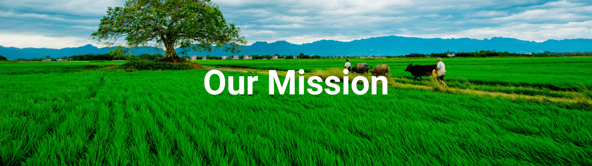our mission